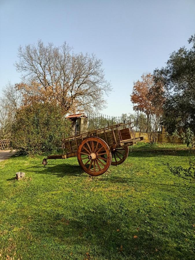 Rifugio Di Campagna Villa Vitorchiano Buitenkant foto